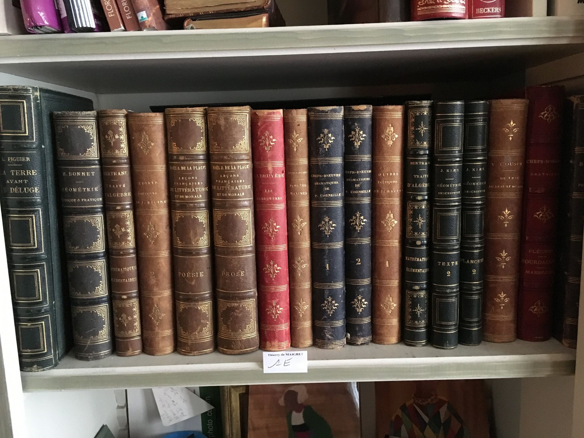 Null Lot de volumes XIXe Figuier, Mathématiques, géométrie, théâtre et divers Pa&hellip;