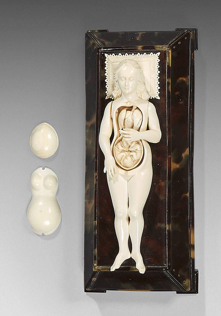 Null Statuette anatomique en ivoire finement sculptée représentant une femme enc&hellip;
