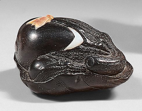 JAPON - Epoque MEIJI (1868-1912) Netsuke en ébène, aubergine dans son feuillage,&hellip;