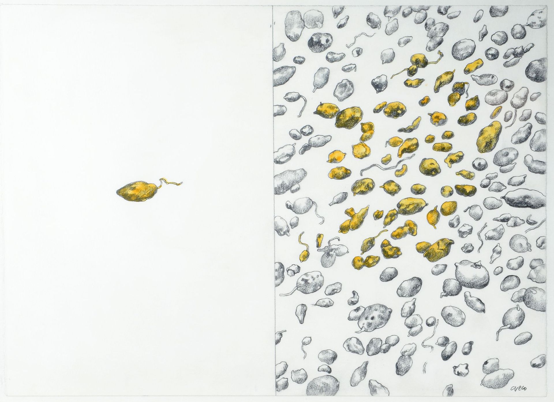 Null Henri CUECO (1929 - 2017) - Pommes de terre, 1998 - 丙烯酸和黑色铅笔画，右下角有签名 - 37 x&hellip;