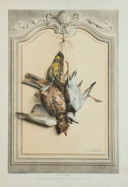 Null Edouard TRAVIES.鸭嘴兽，紫荆雀，环颈鸻。非常漂亮的彩色石板画，来自《夏日回忆》系列，带框。尺寸：60,5 x 42 cm