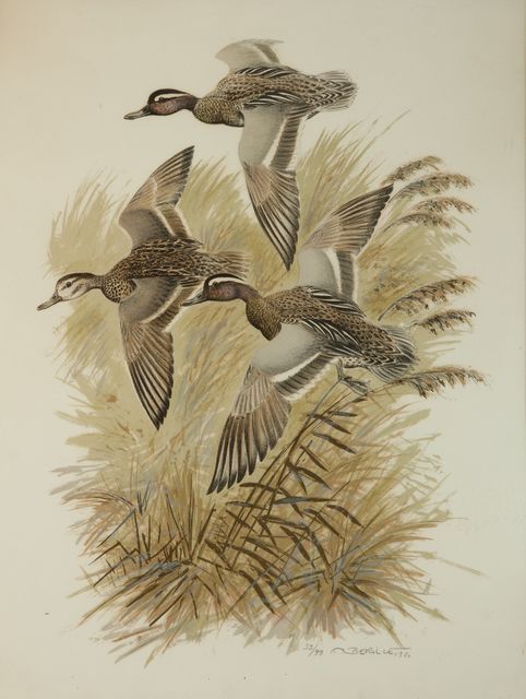 Null Francis BERILLE. The summer teals. Engraving in colours signed, n°39/99 and&hellip;