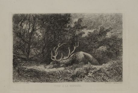Null 野猪的投掷。猎熊。休息中的雄鹿。一套3幅版画，其中两幅是彩色的，是在贾丁和卡尔-博德默之后绘制的。