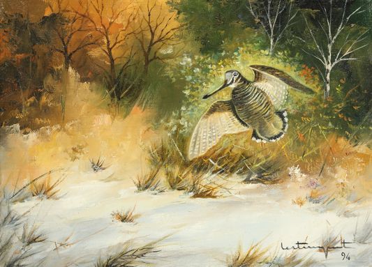 Null Jean Claude LESTRINGANT.在雪地上降落的啄木鸟。布面油画，右下方有签名和日期94。尺寸：24 x 33 cm
