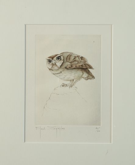 Null Claude ZOGRAPHOS. Little Owl. Engraving in colour numbered 40/100 on the lo&hellip;