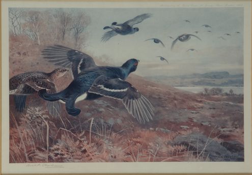 Null Archibald THORBURN.橡树下的高鹰。黑松鸡的飞行。两幅彩色复制品，第二幅加签。尺寸：19 x 27厘米和22,5 x 32,5厘米