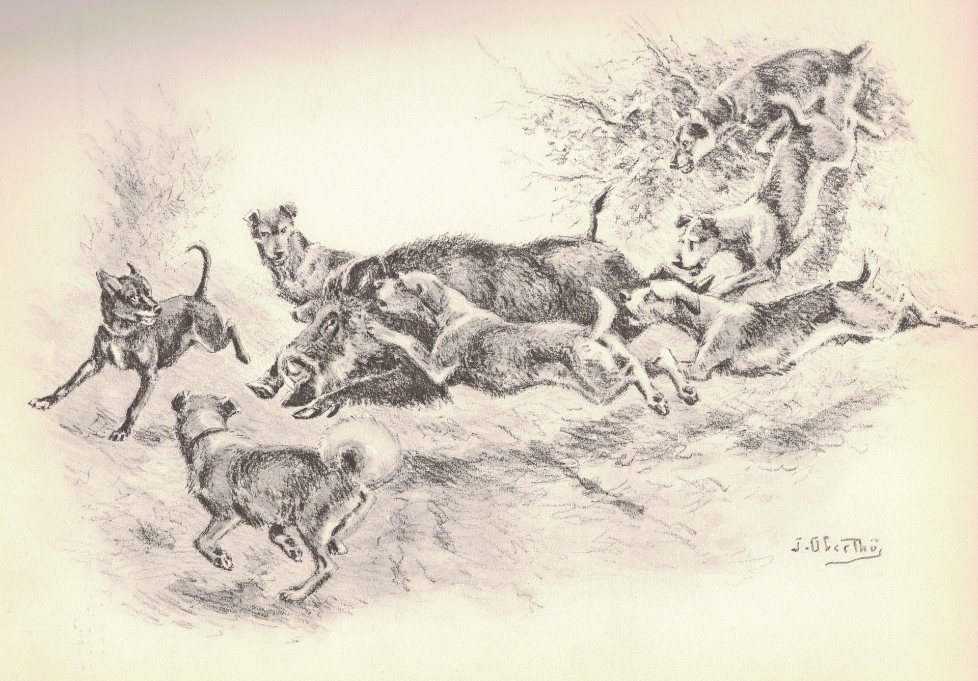 Null - Joseph OBERTHUR. Detener a los perros. Aves de caza, llanuras y bosques. &hellip;