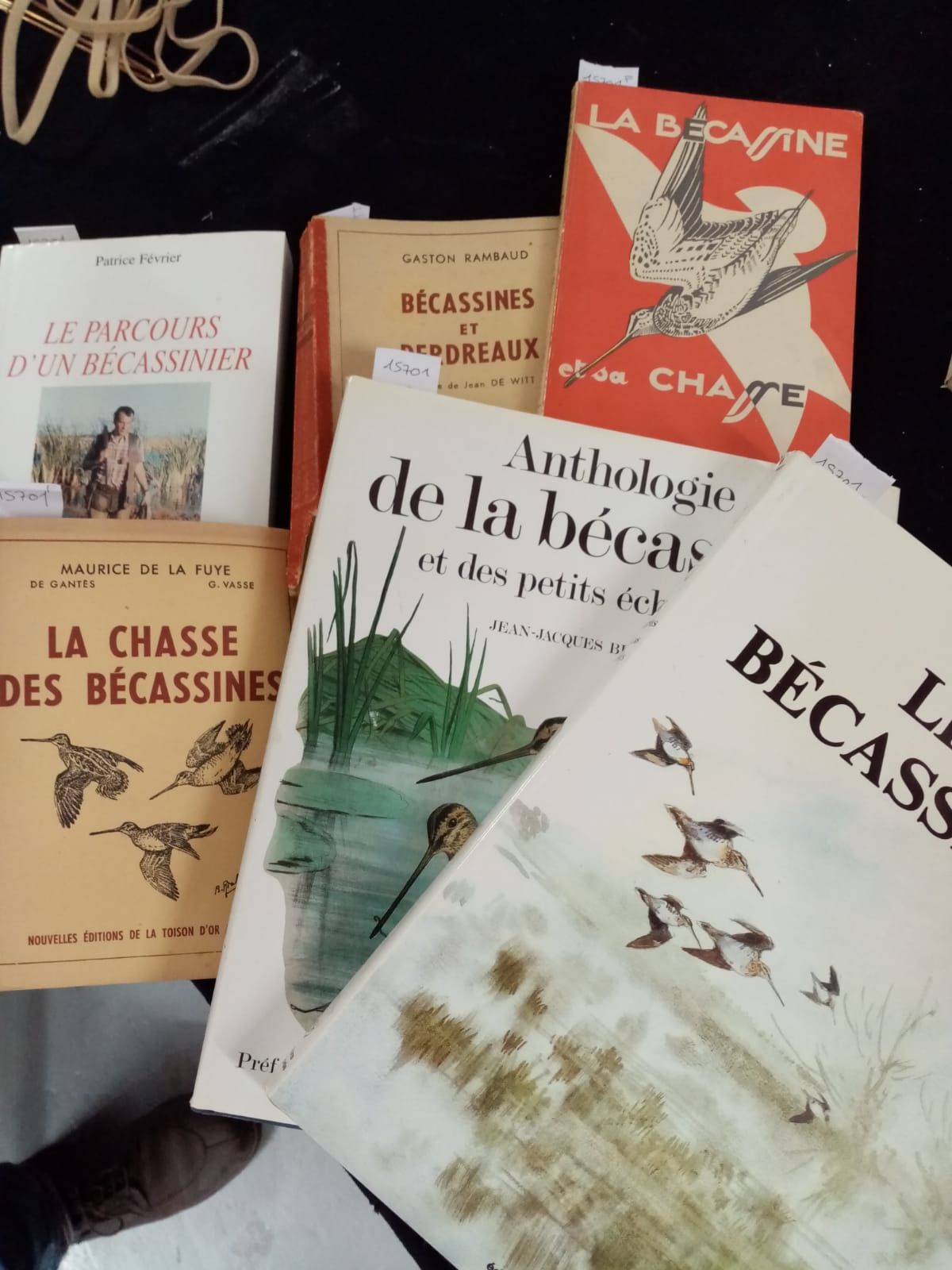 Null - Michel DEVORT. Les Bécassines et leurs chasses. Ill. De Lamotte. Editions&hellip;