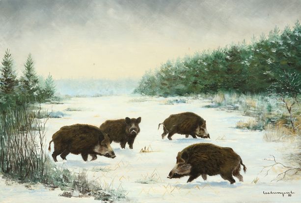 Null Jean Claude LESTRINGANT.雪中的野猪。布面油画，右下方有签名和日期80。尺寸：38 x 55 cm
