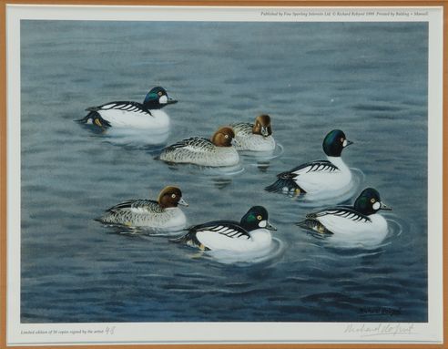 Null Richard ROBJENT. Woodcock at the crest. Ducks swimming. Two reproductions i&hellip;