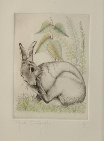 Null Claude ZOGRAPHOS。兔子。罕见的彩色石版画，右下角有编号26/60，左下角有签名，有框架。尺寸19 x 14厘米