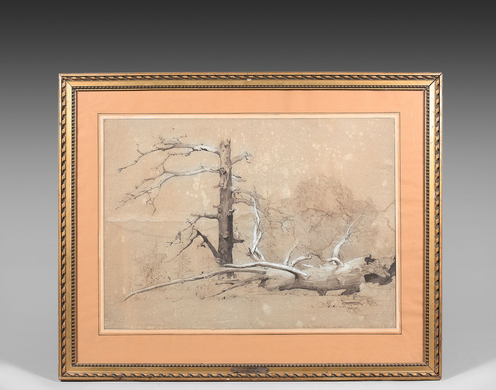 Attribué à Gustave GUILLAUMET (1840-1887) 雪松
米色纸上的钢笔和棕色墨水，灰色和棕色水洗，白色高光。
42 x 59厘&hellip;