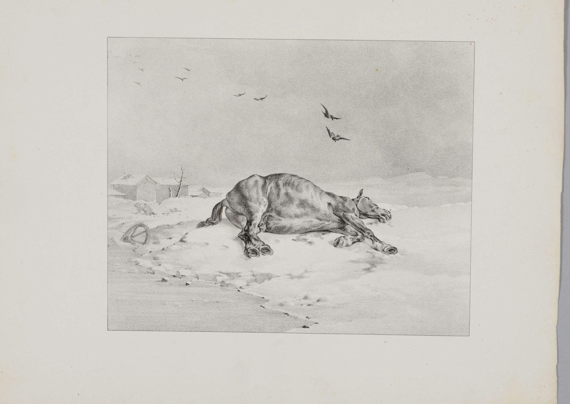 Null Théodore GERICAULT (1791-1824) 《死马》，1823年。牛皮纸上的石版画，在没有任何题词之前是非常漂亮和罕见的证明。最小的&hellip;