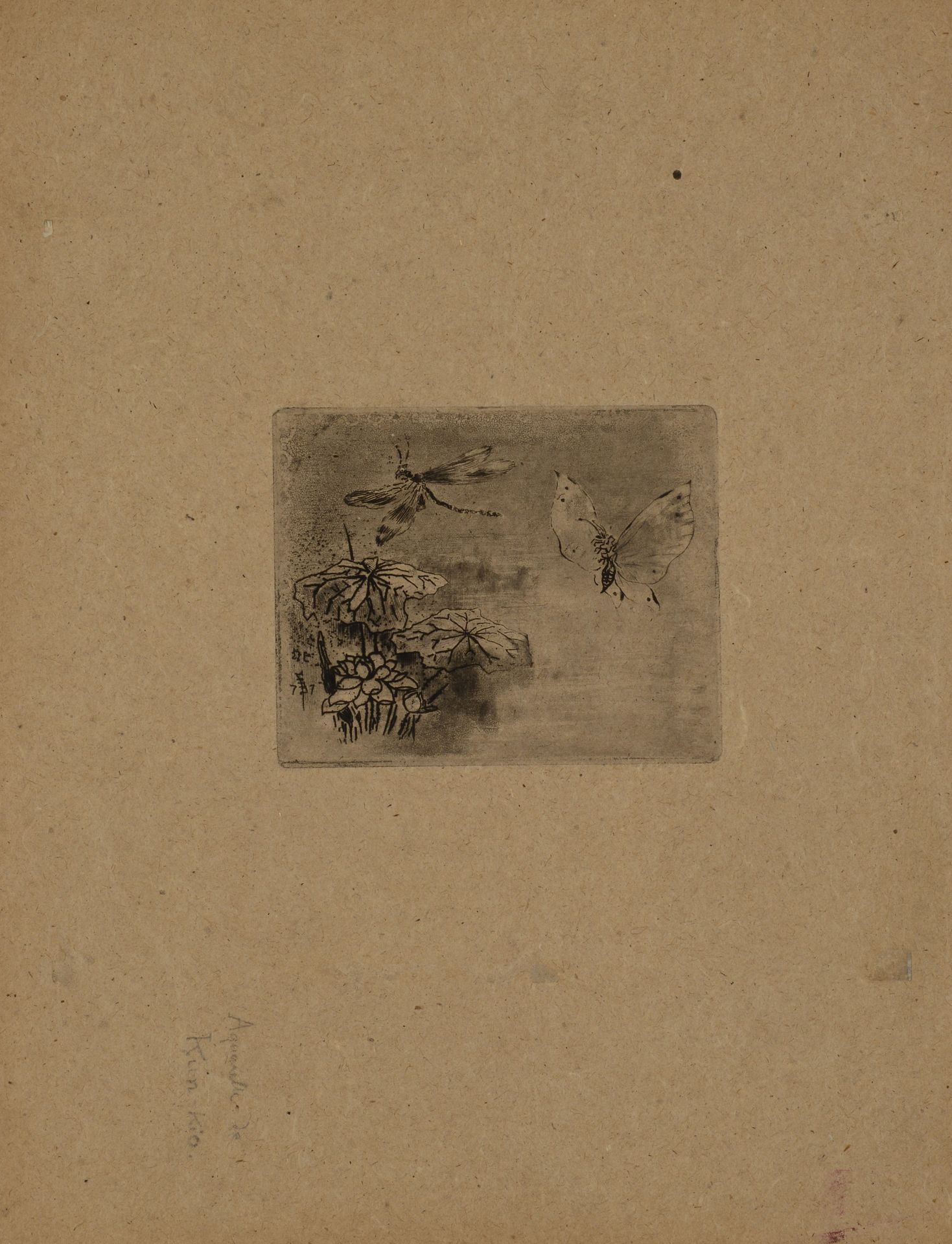 Null 费利克斯-布霍特(1847-1898)的书印 蝴蝶和蜻蜓。来自Japonisme系列的板材。 蚀刻和水印。两份样书，一份在黄色剥落的纸上，添加了红色墨&hellip;
