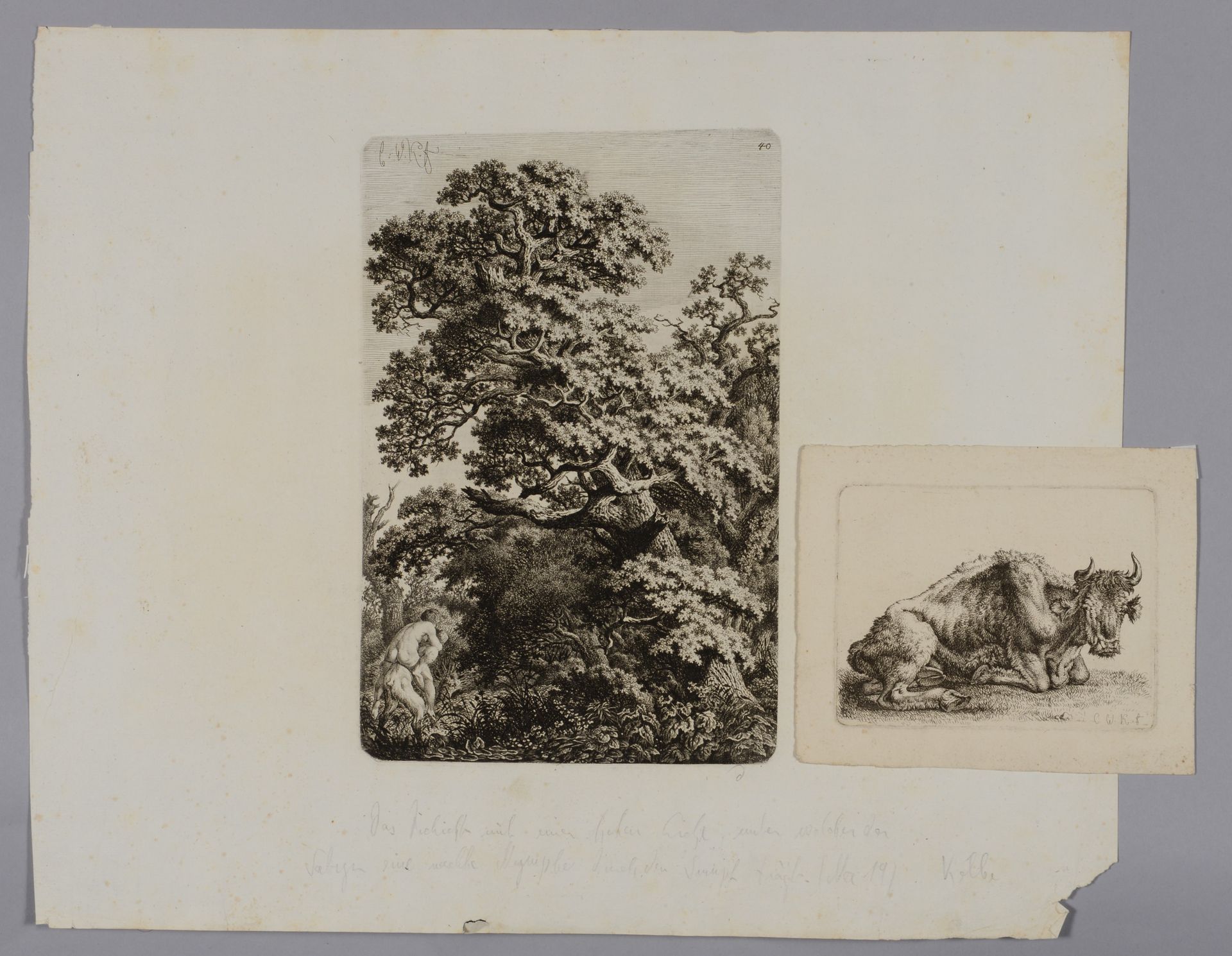 Null Carl Wilhelm KOLBE (1781 1853) Boeuf se reposant Bosquet avec un chêne, un &hellip;