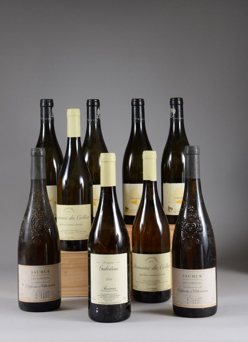Null 9 bouteilles SAUMUR DIVERS (4 Domaine des Roches Neuves "L'échelier" 2018; &hellip;