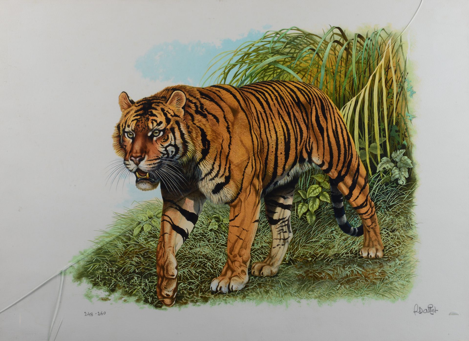 Null Robert DALLET. Tigre marchant. Lithographie en couleurs. Numérotée 248/260 &hellip;