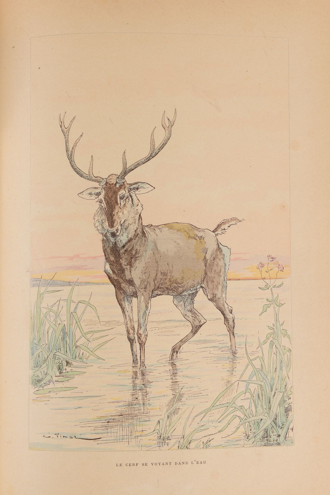 Null 拉方丹的寓言》，维玛尔的非常漂亮的插图（一张插图的照片）图尔，1897年。用半胶合剂装订，书脊有五条肋。