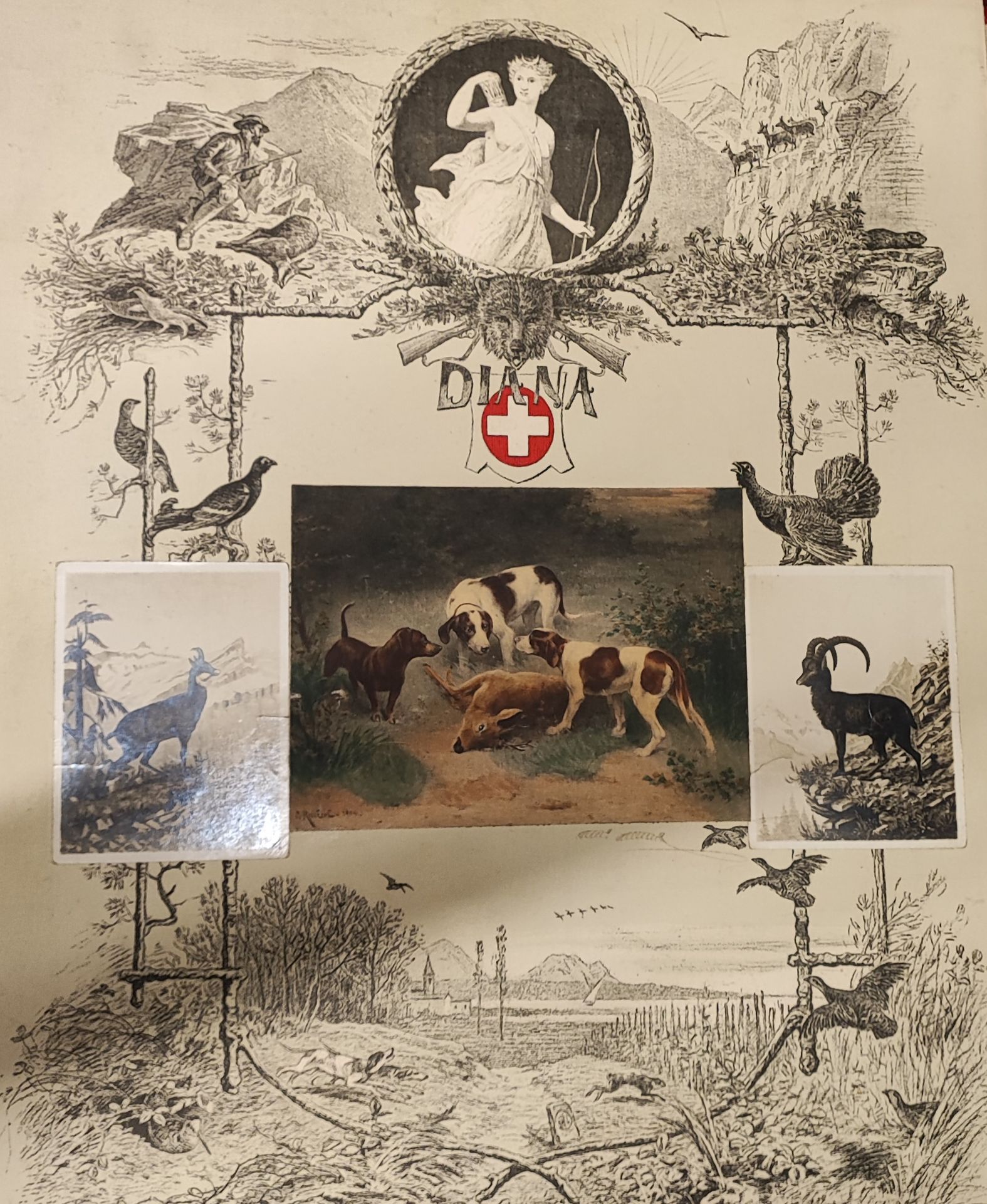 Null 戴安娜。瑞士狩猎协会。印刷的海报，附有照片。尺寸：47 x 38 cm