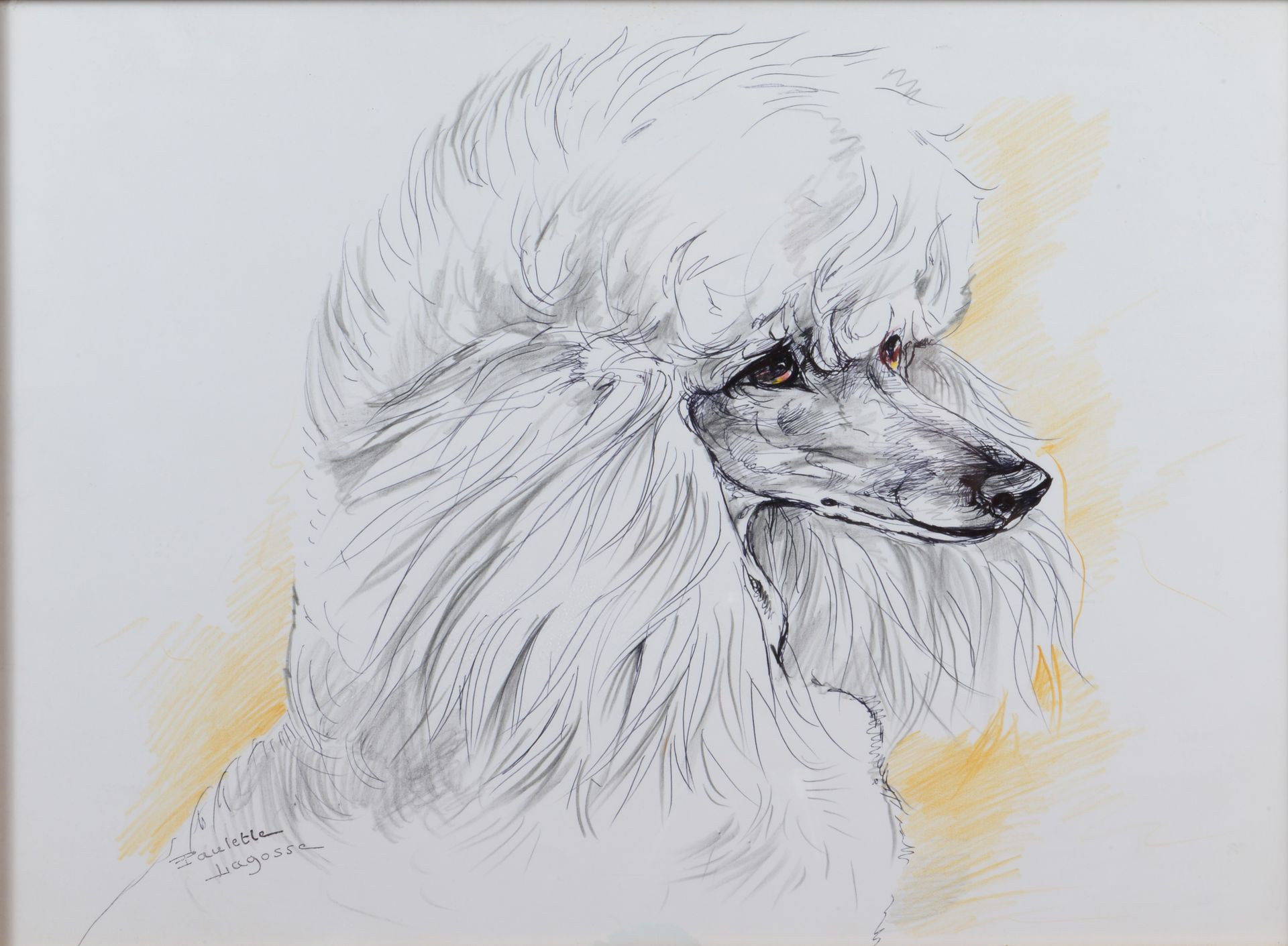 Null Paulette LAGOSSE (1921-1985) Royal Poodle。钢笔和彩色高光，签名印在左下角，有框架。尺寸：32 x 43厘米