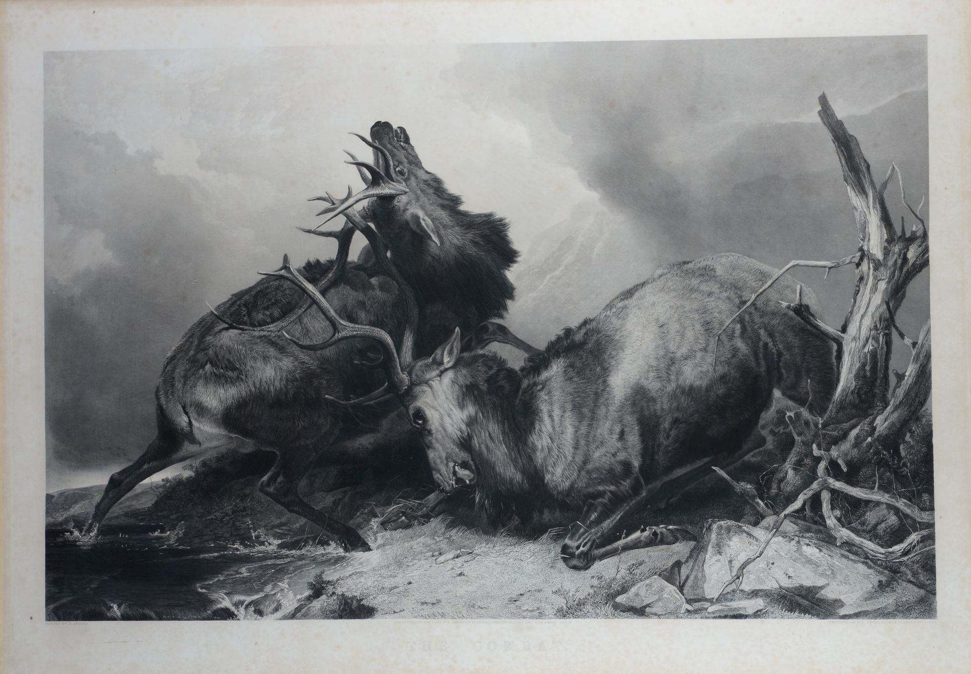Null H.T. RYALL. The death of the stag et the combat. Paire de gravures encadrée&hellip;