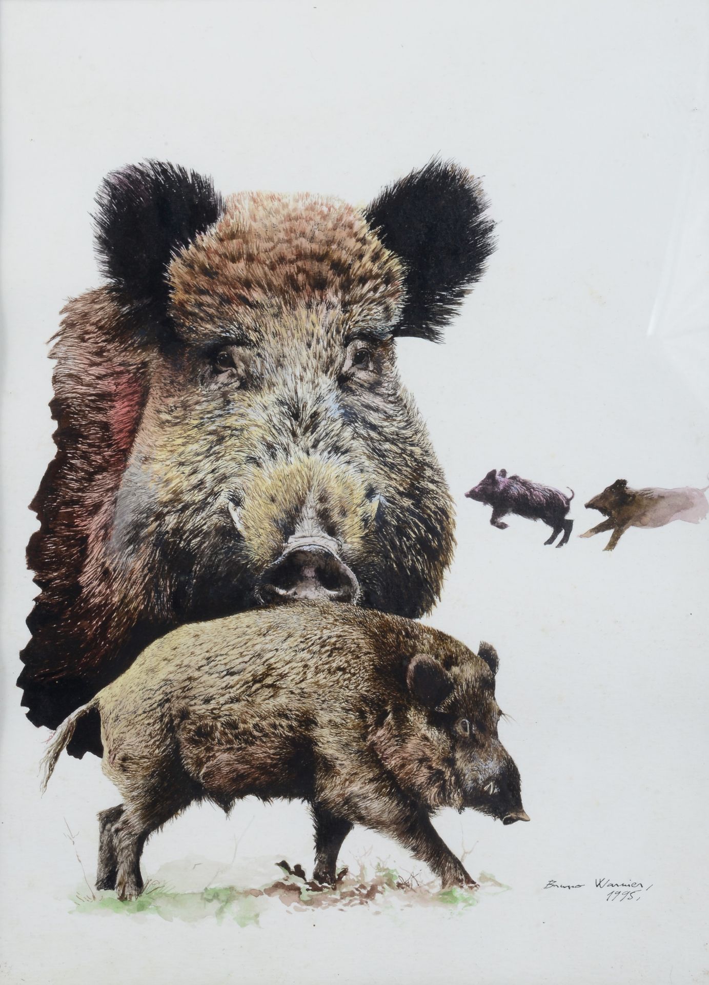 Null Bruno WARNIER. Studien von Wildschweinen. Tinte, Aquarell und Gouache auf P&hellip;