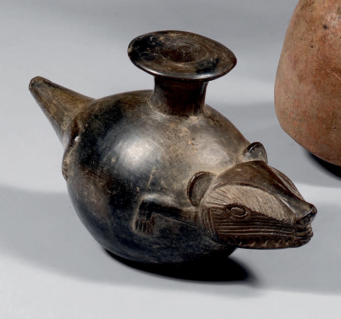 Null 颈部代表动物的花瓶，显示其牙齿。
黑色光泽的陶瓷（修复了鼻子）。
秘鲁，北海岸，Chimu文明，公元1100-1400年
长：23厘米