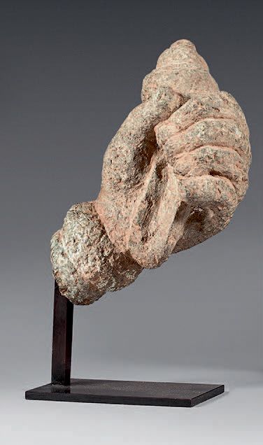 INDE - Gandhara, art gréco-bouddhique, IIe/IVe siècle 灰色片岩的佛祖左手拿着一个海螺壳。
(已磨损)。
高&hellip;