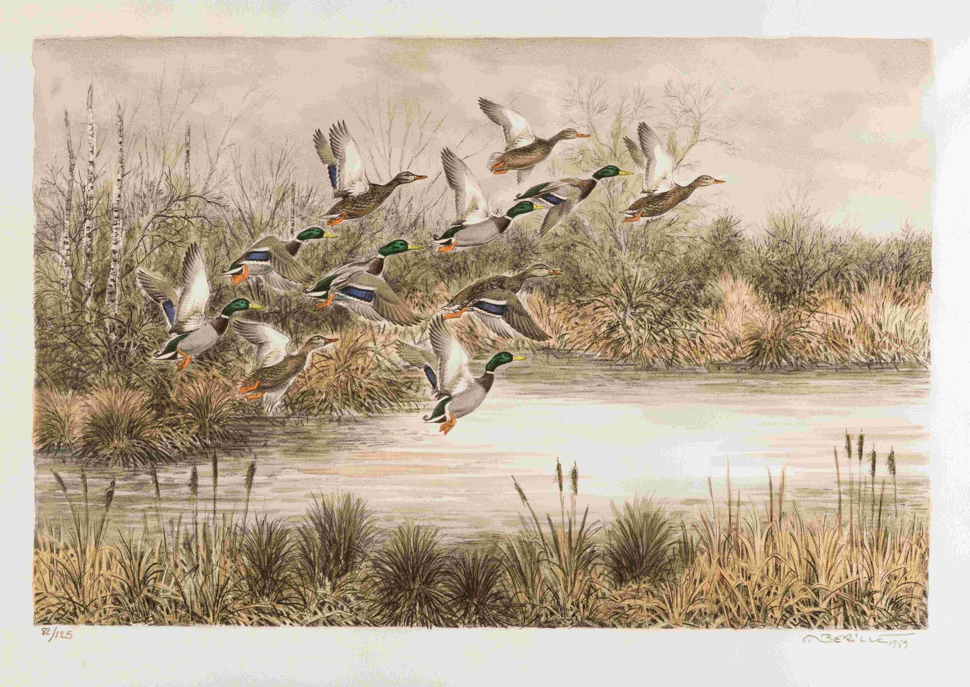 Null Francis BERILLE (1945) L envol de canards Lithographie en couleur. Signée, &hellip;