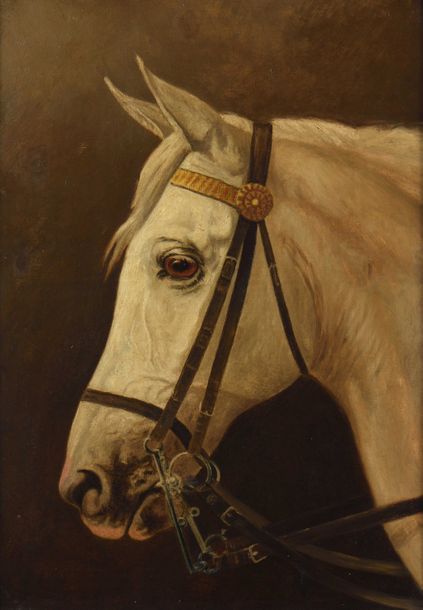 Null 26 Ecole française du XIXe siècle Portrait de cheval blanc Huile sur toile &hellip;