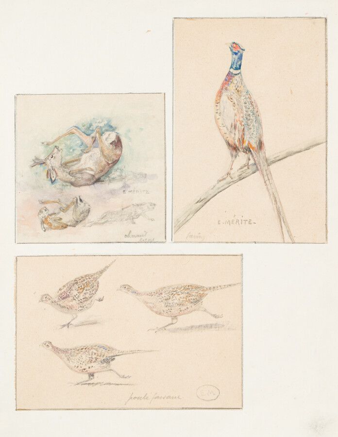 Null Edouard MERITE (1867 - 1941):

Conjunto de cinco dibujos o acuarelas: "pavo&hellip;