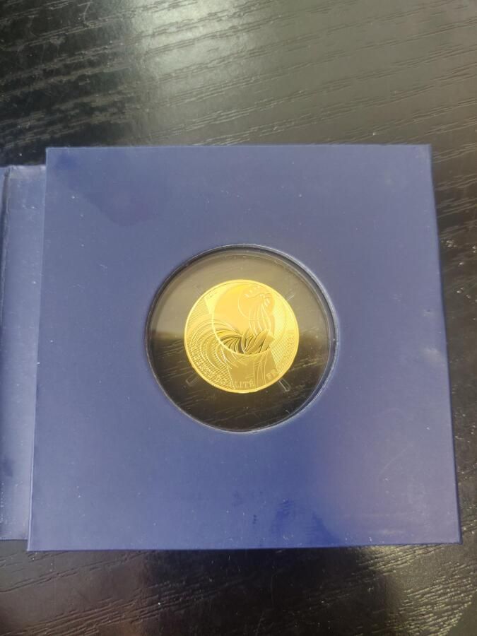 Null 82. 250 €-Münze aus Gold 999/1000 Monnaie de Paris.

Durchmesser: 23 mm.

G&hellip;