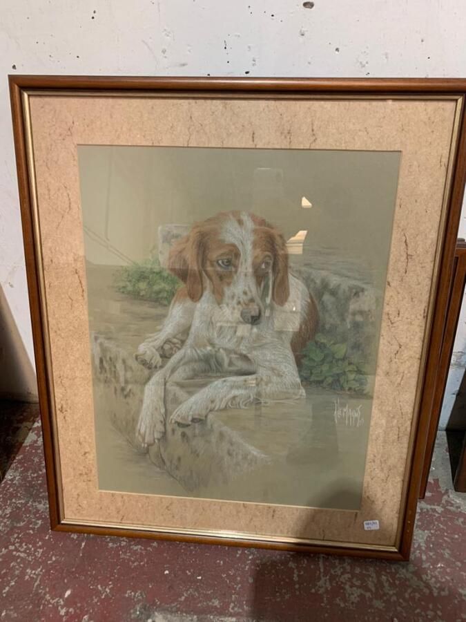 Null LE MAROIS (Modern school): 
Portrait of a spaniel
Pastel on paper signed an&hellip;