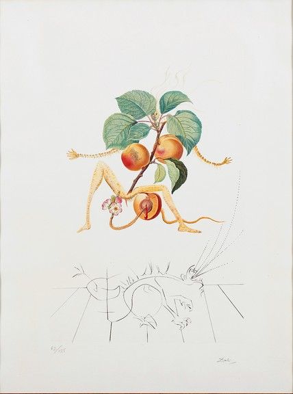Null Nach Salvador DALI Aprikose, 1969, Lithographie und Kaltnadel, 56,5 x 36,5 &hellip;