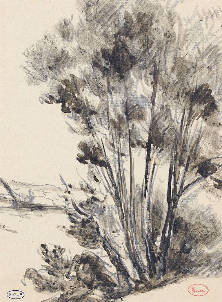 Maximilien Luce (1858-1941) Guernes，塞纳河边的一群树
黑色铅笔和水墨画，右下方有工作室印章，左下方有Edouard-Geor&hellip;