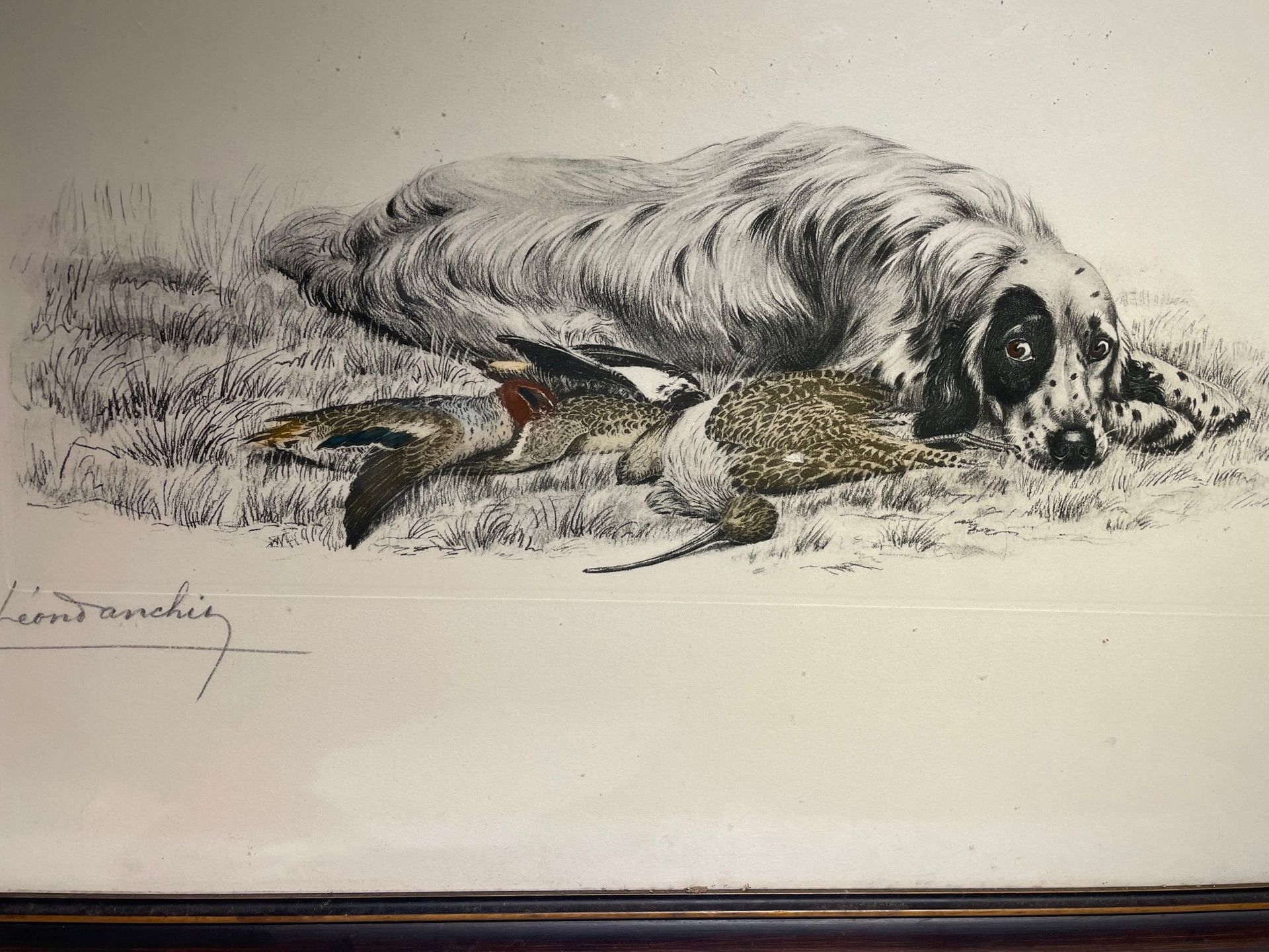 Null Léon Danchin (1887-1938): hunting dogs. Three large framed engravings.