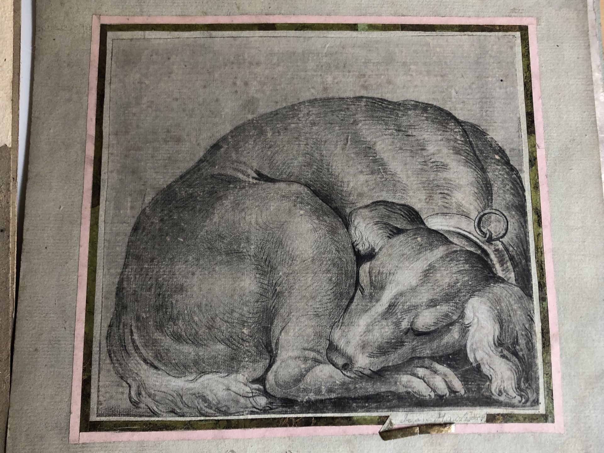 Null 
Scuola fiamminga del XVIII secolo.


Cane che dorme.


Pietra nera su cart&hellip;