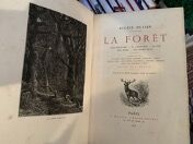 Null Serie di volumi sulla scienza e la biologia: 

MULLER, la foresta

Volume 9&hellip;