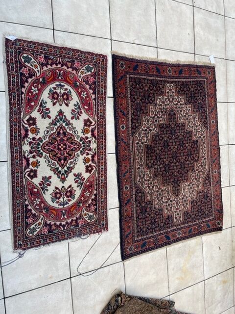 Null Deux tapis Senneh et Pakistan, décor à motifs stylisés.