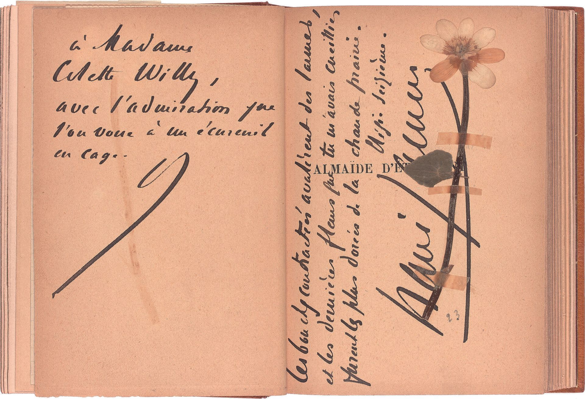 Null JAMMES（弗朗西斯）。阿尔梅德-埃特雷蒙或一个热情的年轻女孩的故事。巴黎，法国美居公司，1901年。18英寸，207-（其中3个是空白的）页，采用&hellip;