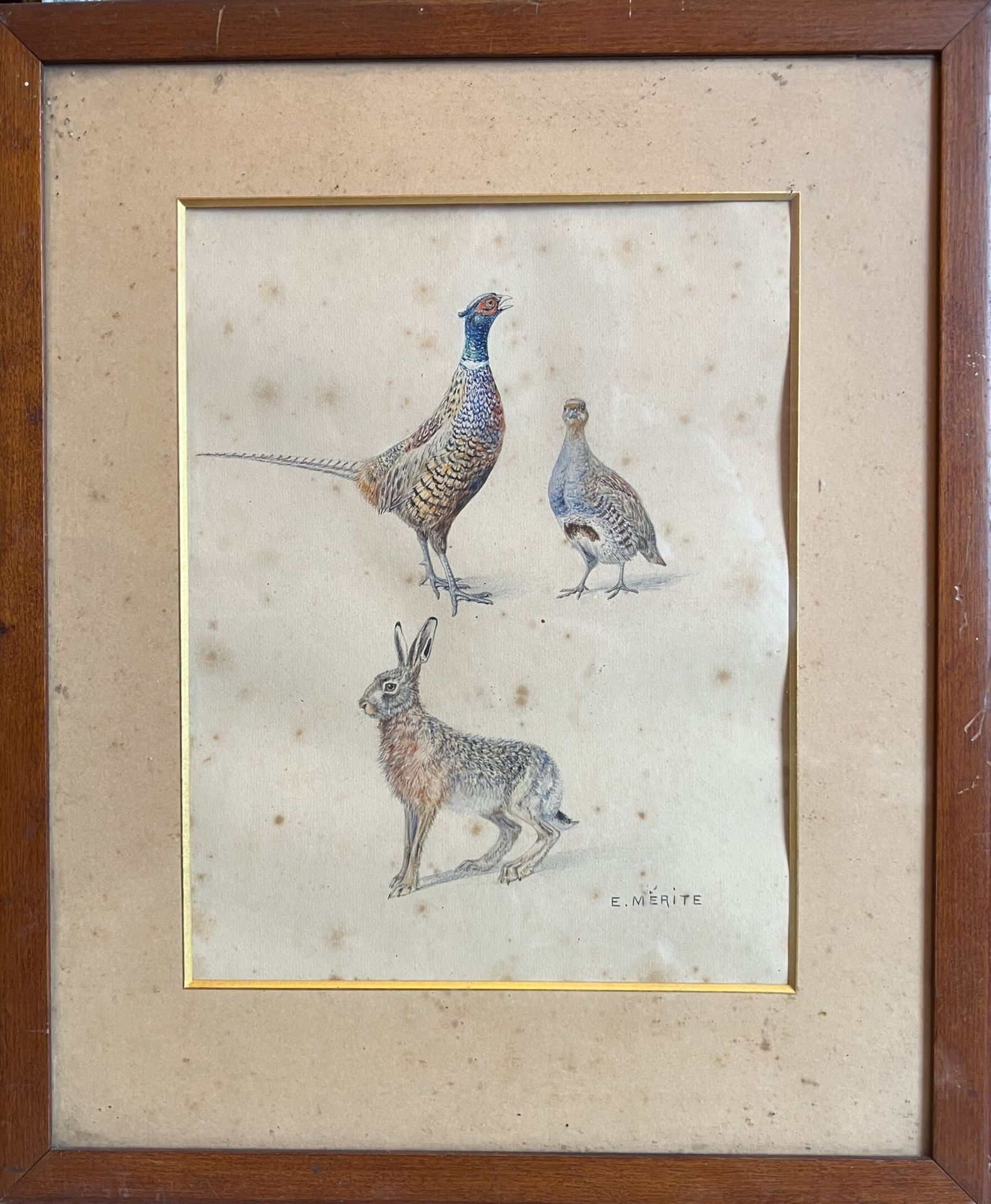 Null 19世纪和现代学校 
- 狩猎馆 
炭笔，签名并注明日期1925年
- E.MERITE 
"野兔和野鸡
水彩画 
(Piqué) 
- 猎杀木鸡 
&hellip;