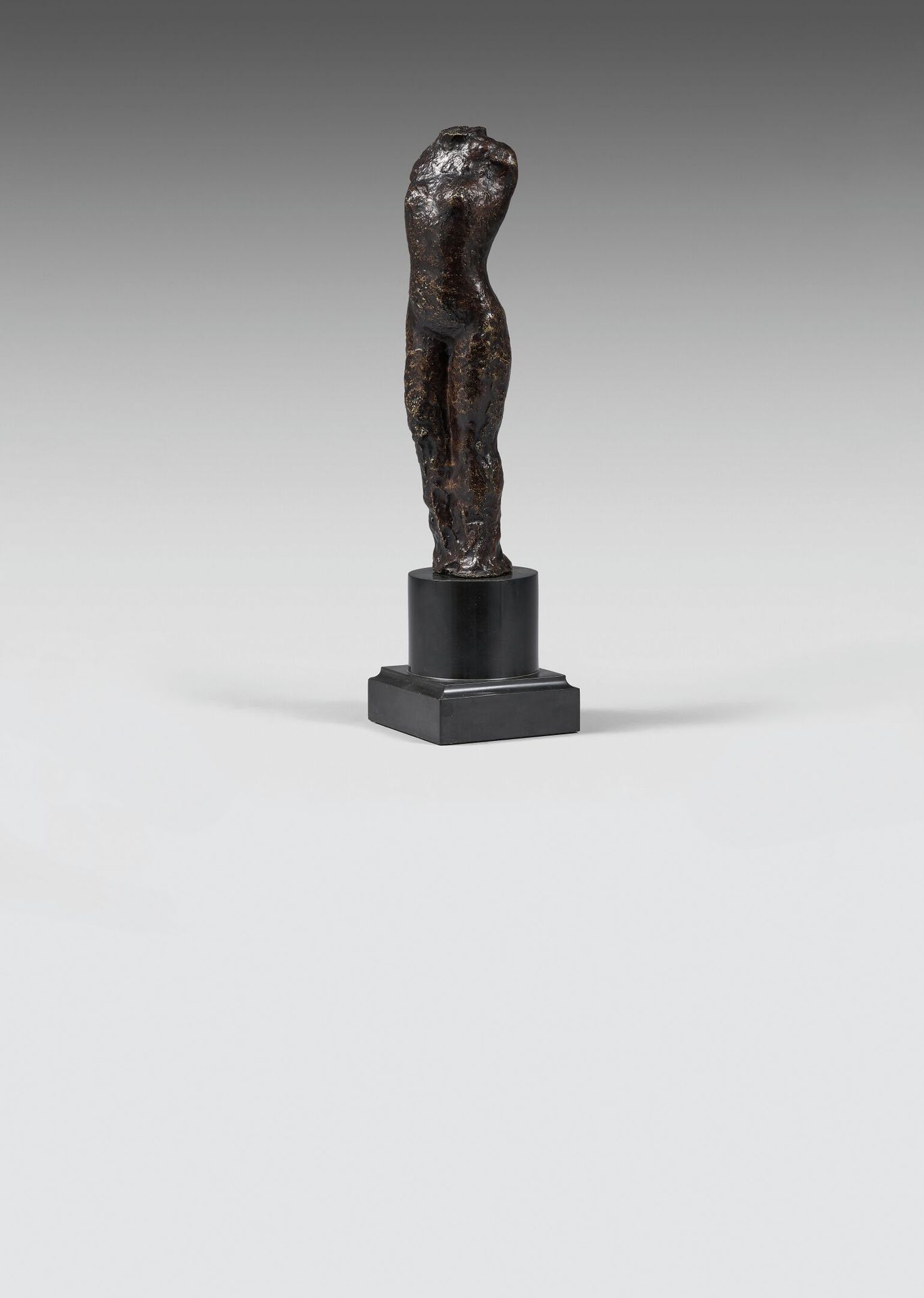 Null 阿里斯蒂德-马约尔(1861-1944)
站立的女性躯干
抛光青铜证明，有首字母签名。
高度：22厘米
Dina Vierny在2003年12月18日&hellip;