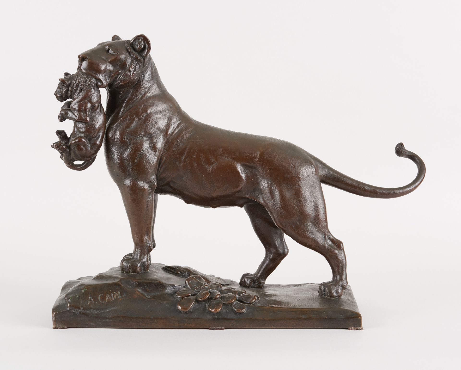 Auguste Nicolas CAIN École française (1821-1894) 一件深色铜质的母狮和它的幼崽的雕塑。

签名：A. Cain，&hellip;