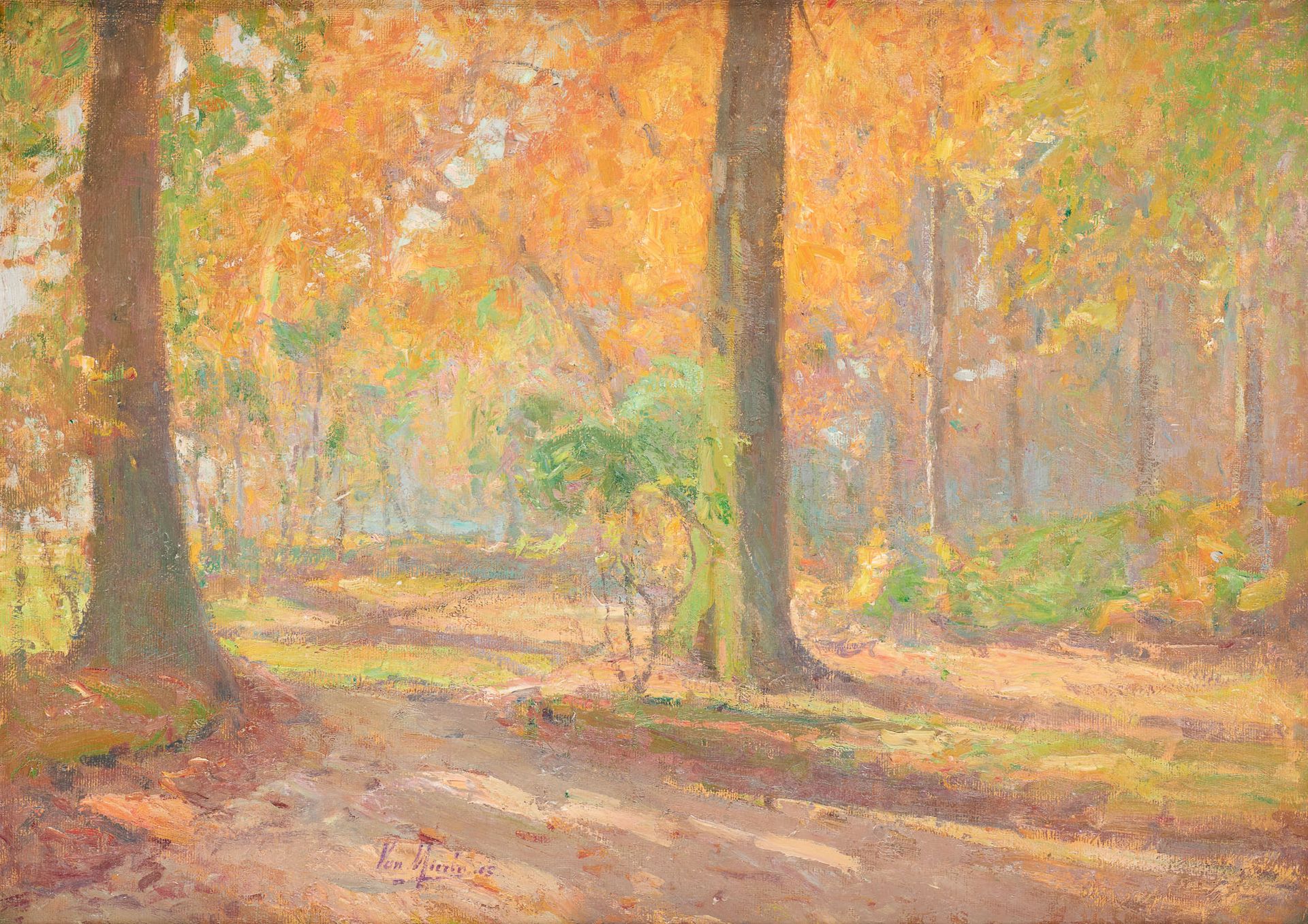 Eugene VAN MIERLO École belge (1880-1972) 布面油画：阳光下的树丛。

签名：范米罗。

(背面有修理)。

尺寸：50&hellip;