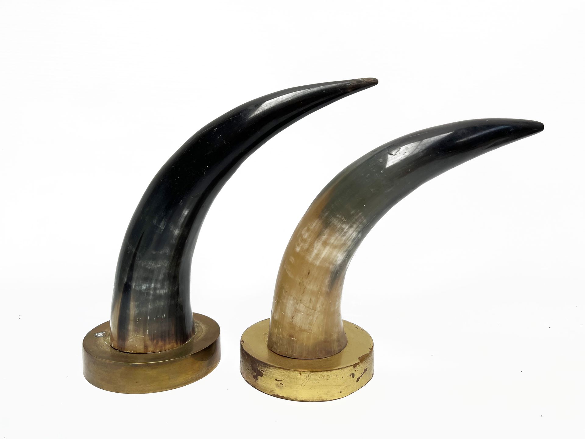 Null 2 corni di bufalo 
Su basi in metallo dorato
Altezza del più grande: 26 cm.