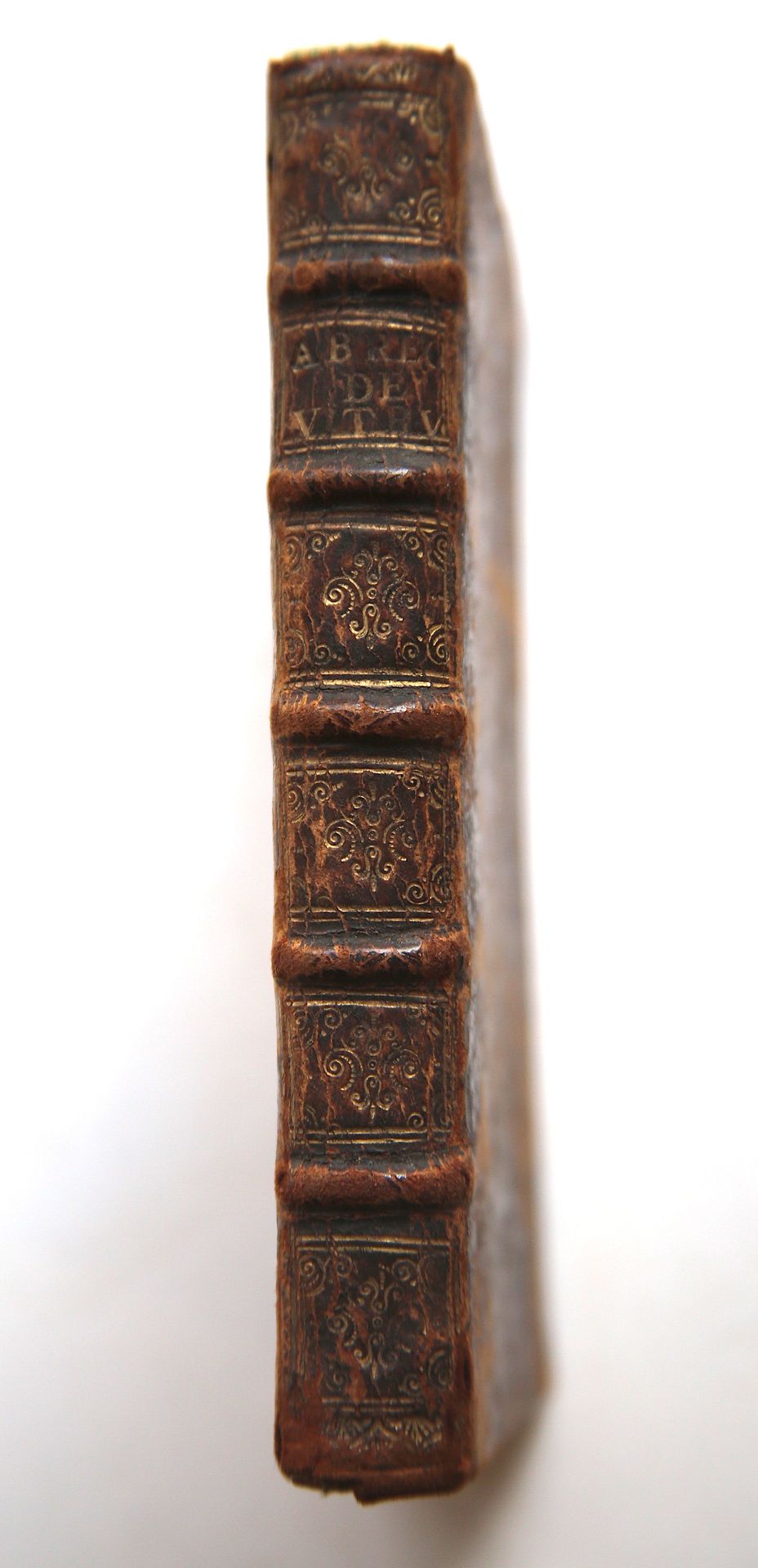 Null 
(建筑)。

维特鲁威。(Claude Perrault)。



"维特鲁威的《建筑十书》节选。

巴黎，Coignard，1674年。16开本，&hellip;