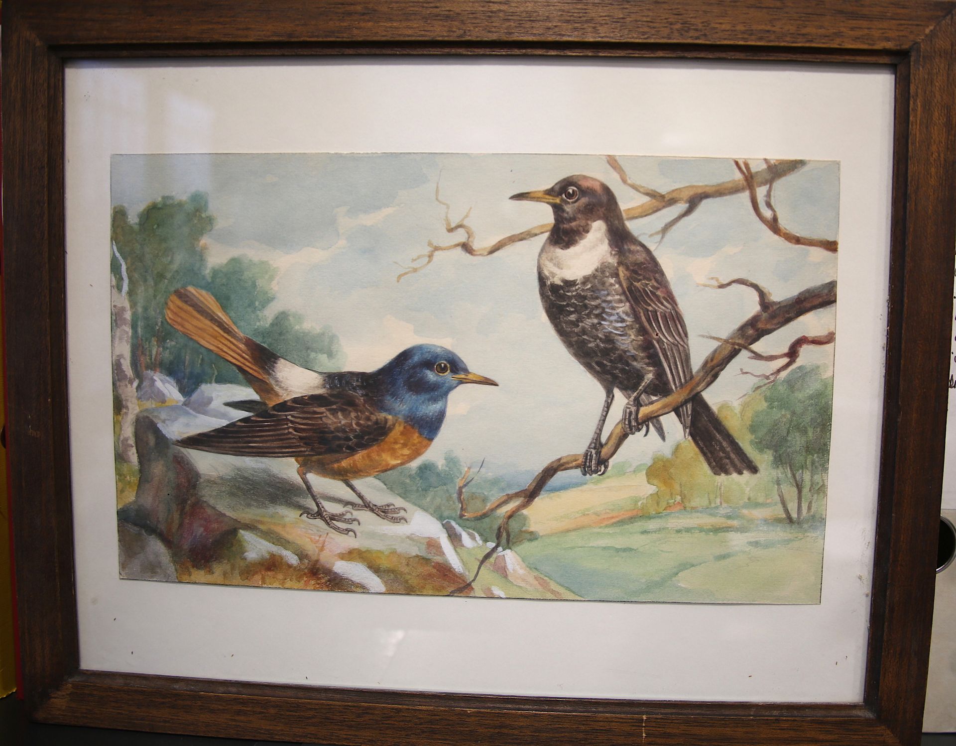 Null 
保罗-马勒（19世纪末-20世纪初），归功于
"两只黑鸟的腹肌
无署名水粉画，带框
尺寸：18 x 29,5 cm