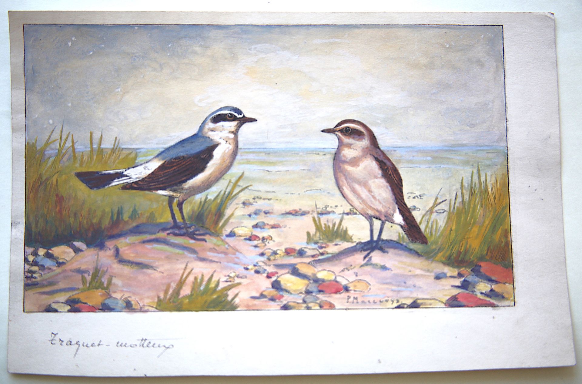 Null 
保罗-马尔库埃兹（1877 - 1952）。
"一对麦穗"。
水粉画，右下角有签名，右下角有标题
尺寸：14,2 x 21,6 cm