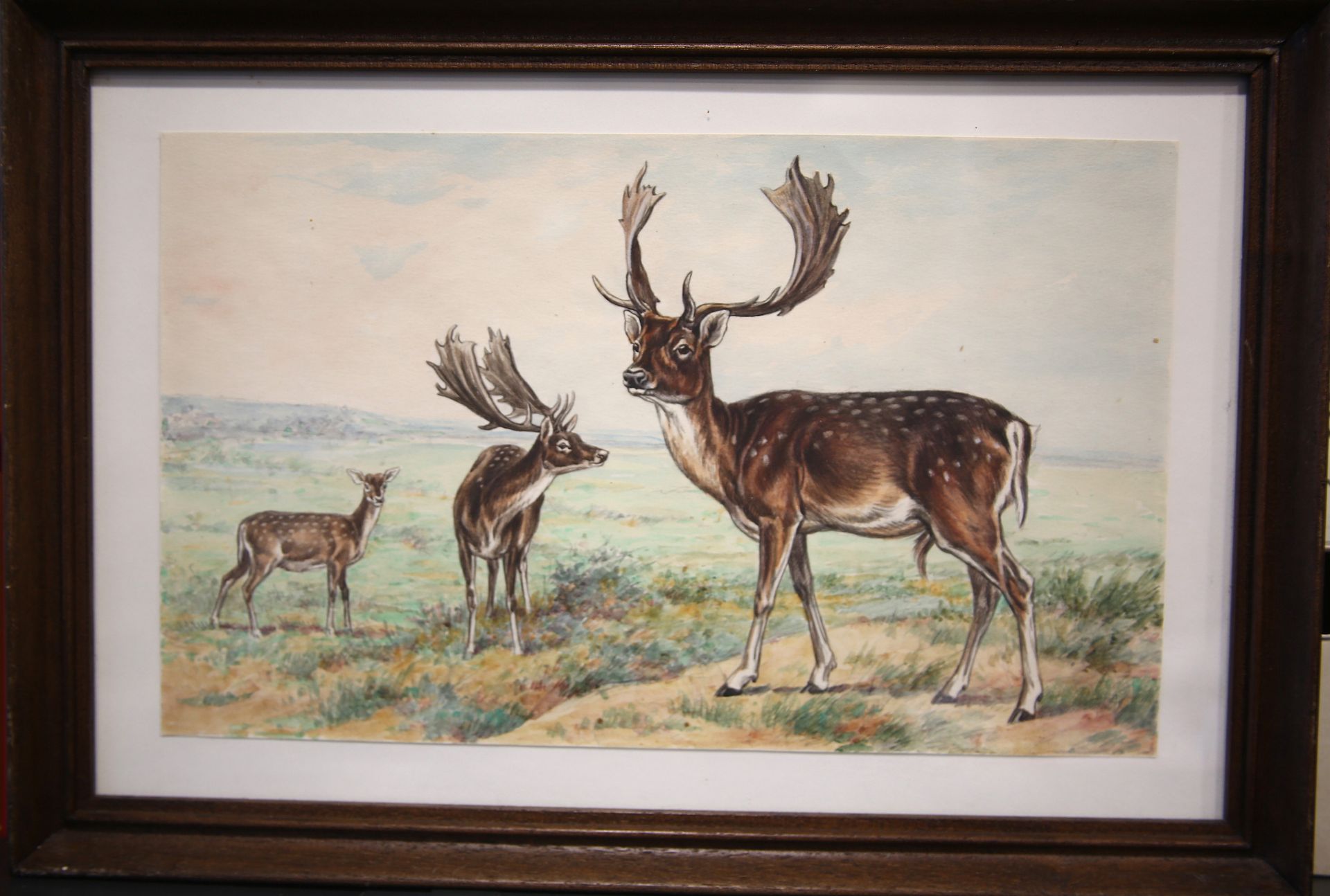 Null 
保罗-马勒（19世纪末-20世纪初），归功于

"一对雄鹿和它们的孩子"

无署名水粉画，带框

尺寸：18.5 x 29.5厘米
