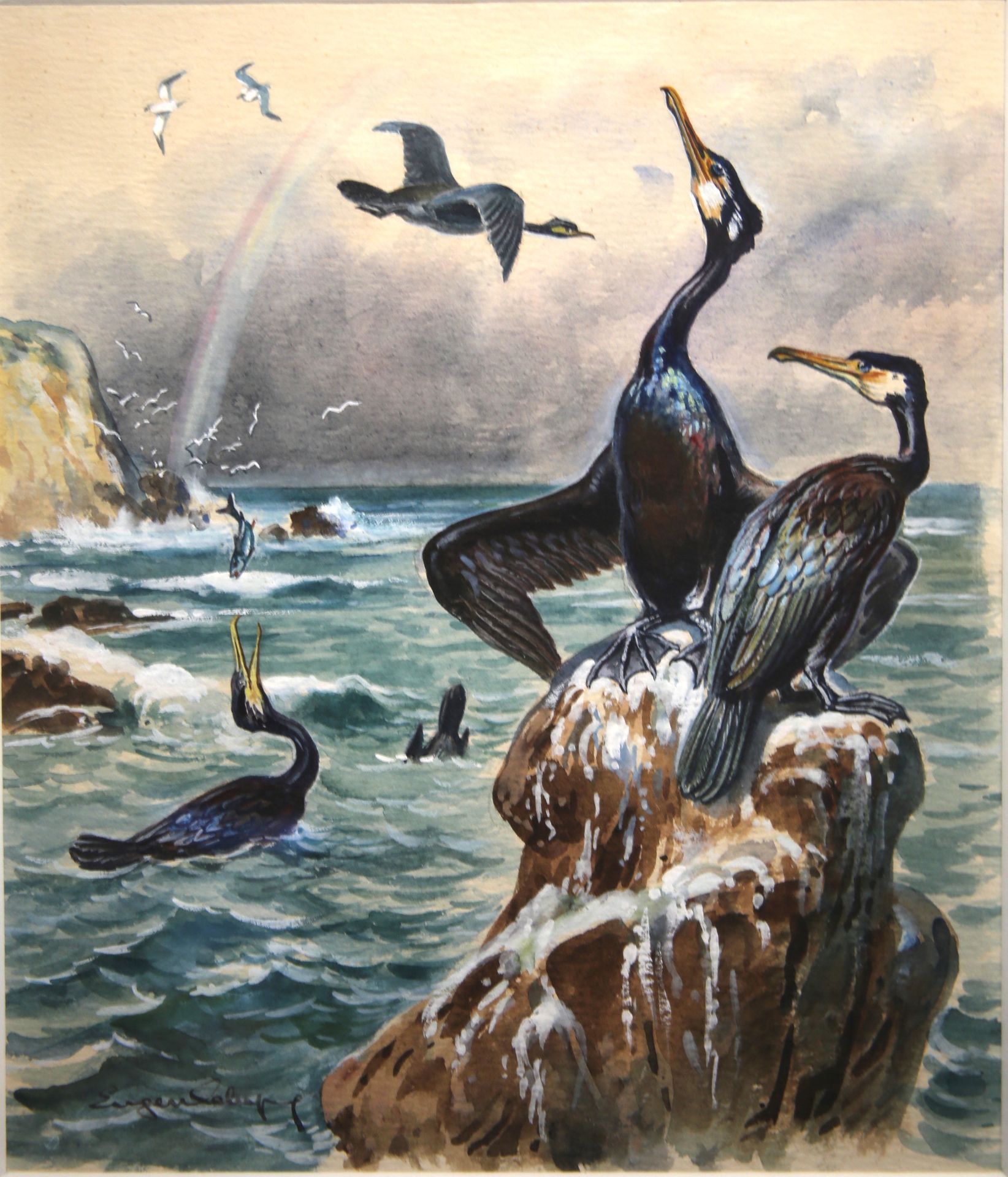 Null 
Paul LEFEPVRE

"Couple of cormorants

gouache signed lower left

framed un&hellip;